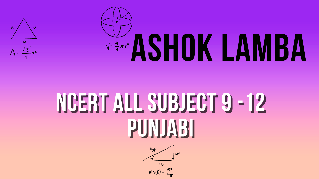 BASIC PUNJABI BOOSTER QUIZ